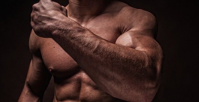 build your arms bicep
