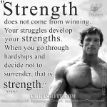 arnold schwarzenegger